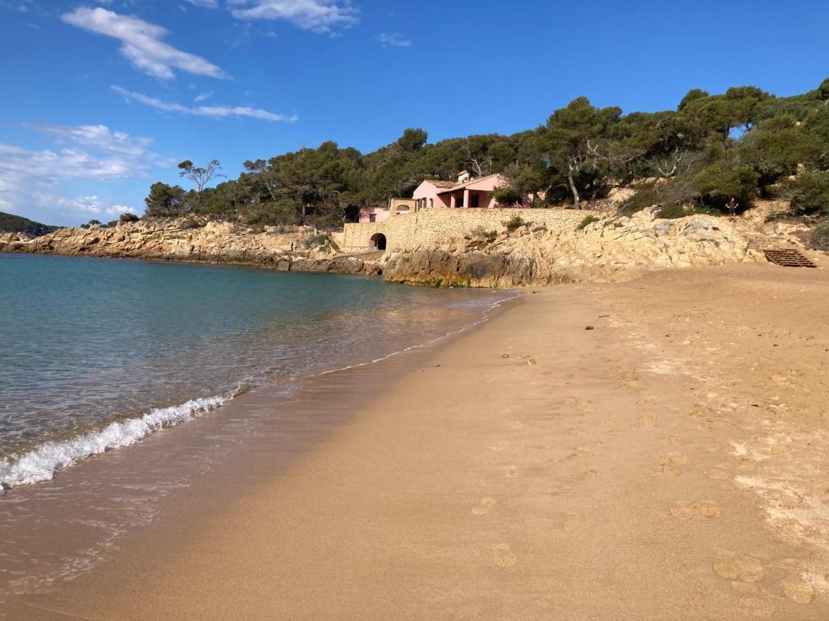 Apartamento Floral Al Centro De Palamos Con Wi-Fi Eksteriør billede